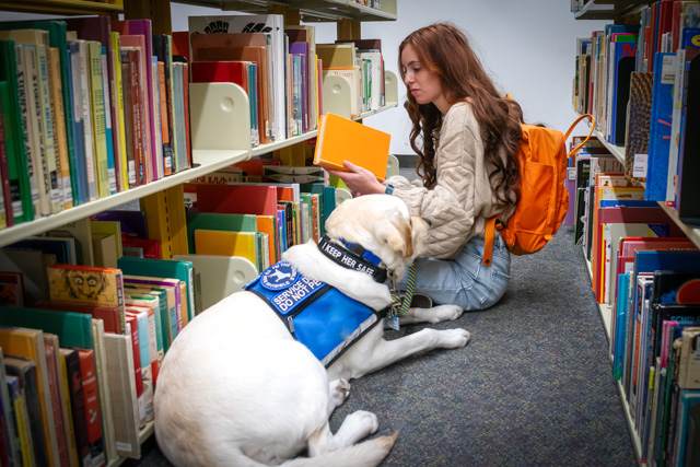 Young woman with service dog sits in university library looking at books
